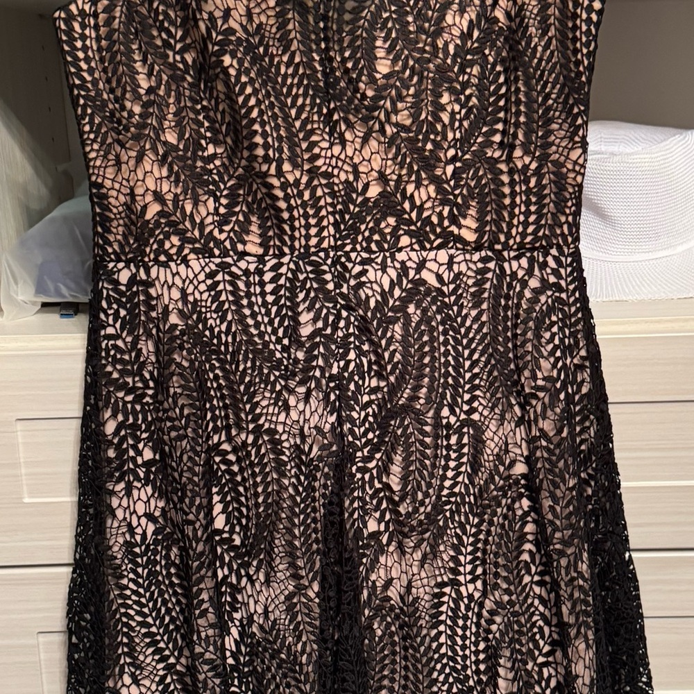 Dress the Population Blush and Black Lace Dress